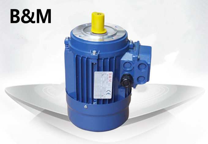 B&M電機 立式B14安裝